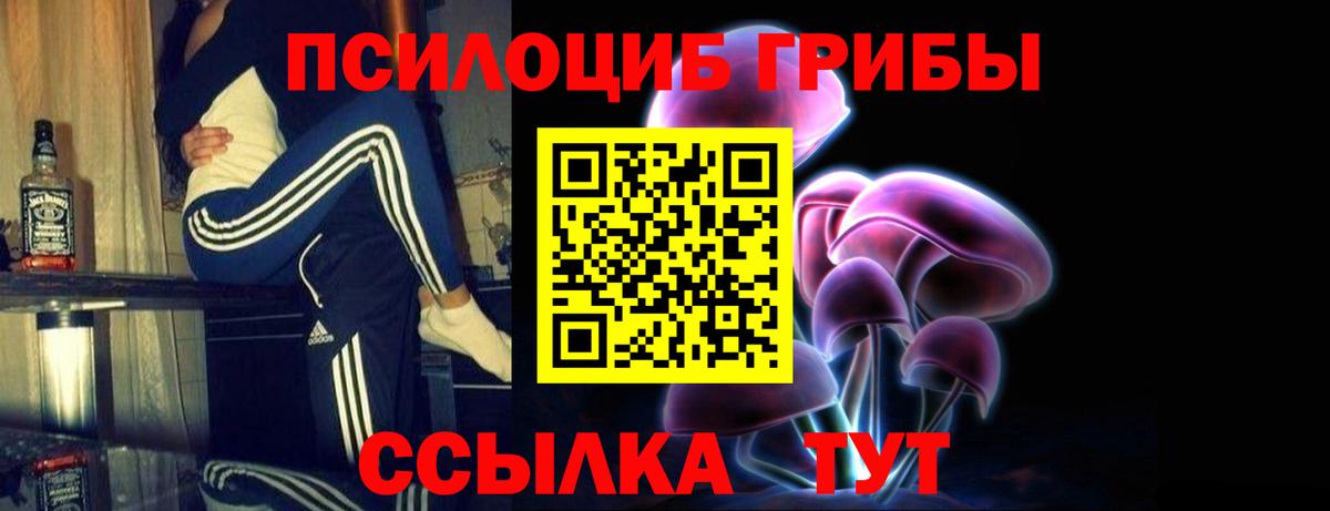 закладка  Вход с VPN  Красноармейск  Галлюциногенные грибы Psilocybe  Псилоцибиновые грибы ЛСД 
